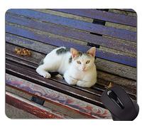YENDOSTEEN Alfombrilla para ratón con Borde Cosido, Banco para Animales de compañía para el hogar, Accesorios de computadora y Oficina
