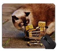 YENDOSTEEN Alfombrillas de ratón, Alfombrilla de ratón American Shorthair Cat Gaming, Alfombrilla de ratón Danbo con Borde Cosido