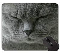 YENDOSTEEN Alfombrillas de ratón, Alfombrilla de ratón American Shorthair Cat Gaming Personalizada, Alfombrilla de ratón Cat con Borde Cosido