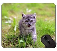 YENDOSTEEN Alfombrillas de ratón, Alfombrilla de ratón American Shorthair Gaming, Alfombrilla de ratón Cat con Borde Cosido