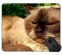 YENDOSTEEN Alfombrillas de ratón, Alfombrilla de ratón British Shorthair Cat Gaming, Alfombrilla de ratón British Shorthair con Borde Cosido