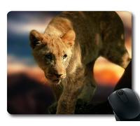 YENDOSTEEN Alfombrillas de ráton Animales Reino Unido, depredador de mamíferos león, Alfombrillas para ratón de Tigre