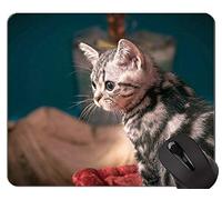 YENDOSTEEN Alfombrillas de ratón, British Shorthair Cat Young Young Cat Alfombrilla de ratón Original Personalizada, Alfombrilla de ratón Gatito con Borde Cosido