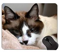 YENDOSTEEN Alfombrillas de ratón, Britt British Shorthair Cat Pets Animales Alfombrilla de ratón Original Personalizada, Alfombrilla de ratón Cat con Borde Cosido