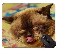 YENDOSTEEN Alfombrillas de ratón, Cute American Shorthair Ca Gaming Mouse Pad Custom, Alfombrilla de ratón Cat con Borde Cosido