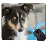 YENDOSTEEN Alfombrillas de ratón Divertidas del Amante del Perro de Pastor alemán, Alfombrillas de ratón Personalizadas del Juego del rectángulo del Perro