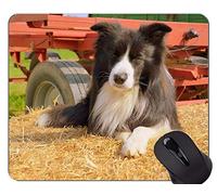 YENDOSTEEN Alfombrillas de ratón Divertidas del Amante del Perro de Pastor alemán, cojín de ratón del rebaño con los Bordes cosidos