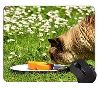 YENDOSTEEN Alfombrillas de ratón, Impreso British Shorthair Cat Grass Gaming Alfombrilla de ratón Personalizada, British Shorthair Alfombrilla de ratón con Borde Cosido