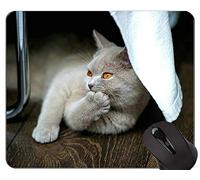 YENDOSTEEN Alfombrillas de ratón, Impreso British Shorthair Cat Grass Gaming Mouse Pad Custom, Alfombrilla de ratón Cat con Borde Cosido