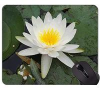YENDOSTEEN Alfombrillas de ratón Lotus On Water Personalizadas - Plante la Alfombrilla de ratón con Borde Cosido