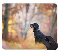 YENDOSTEEN Alfombrillas de ratón Mousemat, Cachorros de Perro para Mascotas Rottweiler - Bordes cosidos