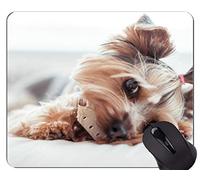 YENDOSTEEN Alfombrillas de ratón Mousemat, Perro Animal Yorkshire Terrier - Bordes cosidos