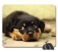 YENDOSTEEN Alfombrillas de ratón para Juegos, Alfombrilla de ratón, Fondo de Perro Cachorro Rottweiler de Pura Sangre