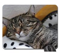 YENDOSTEEN Alfombrillas de ratón para Juegos, Alfombrilla de ratón, Gato Tiger Tigerle Animal Predator Dangerous Mieze