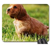 YENDOSTEEN Alfombrillas de ratón para Juegos, Alfombrilla de ratón, Perrito Doggy Gold Cocker Spaniel Inglés