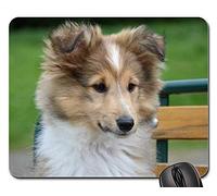 YENDOSTEEN Alfombrillas de ratón para Juegos, Alfombrilla de ratón, Perro Shetland Sheepdog Head Face Look Dog
