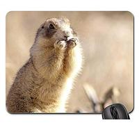 YENDOSTEEN Alfombrillas de ratón para Juegos, Alfombrilla de ratón, Retrato de Prairie Dog Close Up Cute Wildlife Nature 1