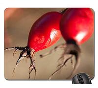 YENDOSTEEN Alfombrillas de ratón para Juegos, Alfombrilla de ratón, Rosa Hip Canina Fruta Red Wild Rose Nature Plant 1