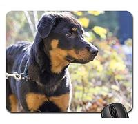 YENDOSTEEN Alfombrillas de ratón para Juegos, Alfombrilla de ratón, Rottweiler Perro Mascota Animal Hundeportrait Hocico 1