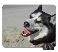 YENDOSTEEN Alfombrillas de ratón para Juegos, Alfombrilla de ratón, Sonrisa demoníaca Husky Siberian Vacation Outdoors