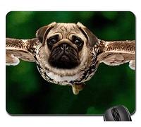 YENDOSTEEN Alfombrillas de ratón para Juegos, tapete para el ratón, Pug Owl Approach Raptor en Vuelo Bird of Prey