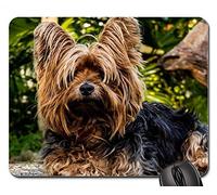 YENDOSTEEN Alfombrillas De Ratón - Perro Yorkshire Terrier Perro Pequeño
