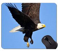YENDOSTEEN Alfombrillas de ratón Personalizadas, Black Eagle Cute Animal Themes Alfombrilla de Goma