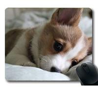 YENDOSTEEN Alfombrillas para Juegos, Half a Dog Corgi, Costura de precisión, Alfombrilla de ratón Duradera
