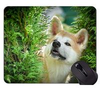 YENDOSTEEN Alfombrillas para ratón, Alfombrilla para Juegos, alfombras para Perros Shiba Inu - Bordes cosidos