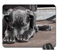 YENDOSTEEN Alfombrillas para ratón - Cachorro de Perro Mascota The Shy Cute Animal Cane Corso