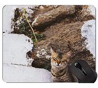 YENDOSTEEN Alfombrillas para ratón, Gato de Pelo Corto Alfombrilla de ratón con Aspecto de Animal doméstico Personalizado, Alfombrilla para Gatos de tamaño pequeño a Mediano con Borde Cosido
