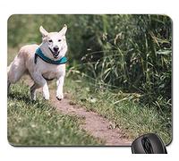 YENDOSTEEN Alfombrillas para ratón - Perro Carrera Diversión Animal Juego de Mascotas Ejecutar Cazar Gran
