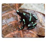 YENDOSTEEN Almohadilla para Mouse, Juego Almohadilla para mouseJaponésTreeFrog Rana de TreeFrog x Macro olloclip Material de Caucho Natural PN00X5383