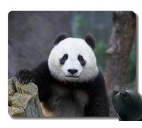 YENDOSTEEN Almohadilla para ratón Yanteng con Borde Cosido, Panda Gigante de DVD, Alfombrilla para ratón, Base de Goma Antideslizante para computadora portátil