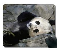 YENDOSTEEN Almohadilla para ratón Yanteng con Borde Cosido, sueño acostado con Animales Pandas Gigantes, Alfombrilla para ratón, Base de Goma Antideslizante para computadora portátil, computadora