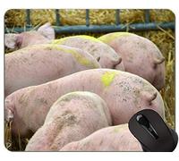 YENDOSTEEN Almohadillas de ratón de Juego extendido de diseño Personalizado Cute Pig, cría Impresa con un Adorable Cerdito