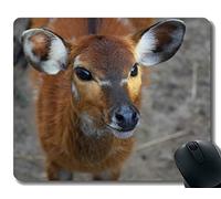 YENDOSTEEN Almohadillas de ratón rectangulares para computadoras Laptop, Deer, Doe, Ungulate - Stitched Edges
