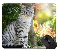 YENDOSTEEN Almohadillas para Mouse, Linda Alfombrilla de ratón exótica de Pelo Corto Antideslizante, Alfombrilla para Gato con Borde Cosido