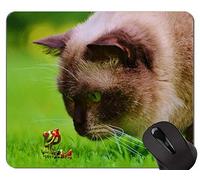 YENDOSTEEN Almohadillas para Mouse, Linda Almohadilla para Mouse Original de Gato Gris de Pelo Corto, Almohadilla para Mouse con Borde Cosido
