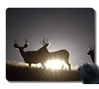 YENDOSTEEN Almohadillas para Mouse para computadoras portátiles, Discos, Animales Salvajes, Bordes cosidos