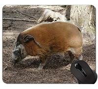 YENDOSTEEN Animal Art Mousepad, Hog New Year of Pig Gaming Mouse Pad