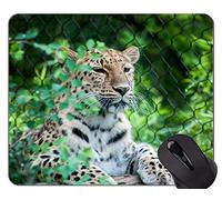 YENDOSTEEN Animal Tiger Skin Print Alfombrilla de ratón, Big Cats Alfombrillas De Raton