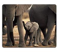 YENDOSTEEN Animal Wildlife Elephant Baby Pack Tusk Africa Alfombrillas para ratón Personalizadas por Encargo Soporte Tela de y respetuosa con el
