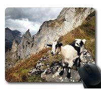 YENDOSTEEN Black Goat Gaming Mouse Pad - Durable Alfombrilla de ratón Mouse Mat Design Natural Eco Rubber Computer Desk Stationery Accesorios Regalos para