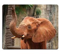 YENDOSTEEN Caucho Natural Gaming Mouse Pad Mouse Mat Gran Elefante Africano Loxodonta Africana Cubierto de Polvo Rojo PM012154