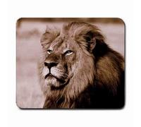 YENDOSTEEN Cecil The Famous LionZimbabweAlmohadilla para Mouse personalizadaRectangle Mouse Pad Gaming Mouse Mat