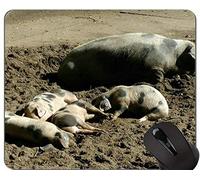 YENDOSTEEN Cerdo Personalizado Durable Hogar y Oficina Mousepad Bunte Bentheimer Pigs Año Nuevo de Pig Gaming Mouse Pad