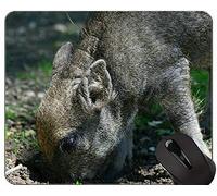 YENDOSTEEN Cerdo Personalizado Durable Hogar y Oficina Mousepad Jabalí Año Nuevo de Pig Gaming Mouse Pad