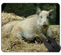 YENDOSTEEN Cerdo Personalizado Durable Hogar y Oficina Mousepad Jabalí Año Nuevo de Pig Gaming Mouse Pad