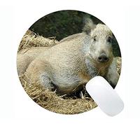 YENDOSTEEN Cerdo Personalizado Durable Hogar y Oficina Mousepad Jabalí Año Nuevo de Pig Gaming Round Mouse Pad
